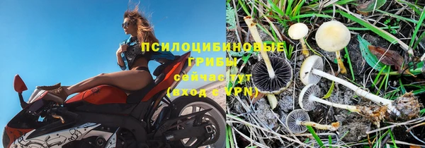 бутират Зерноград