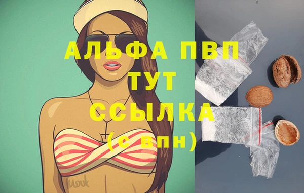 тгк Инта