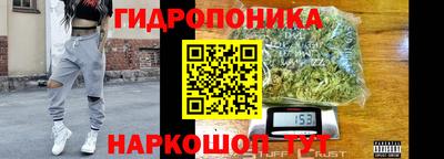 ешки Гатчина