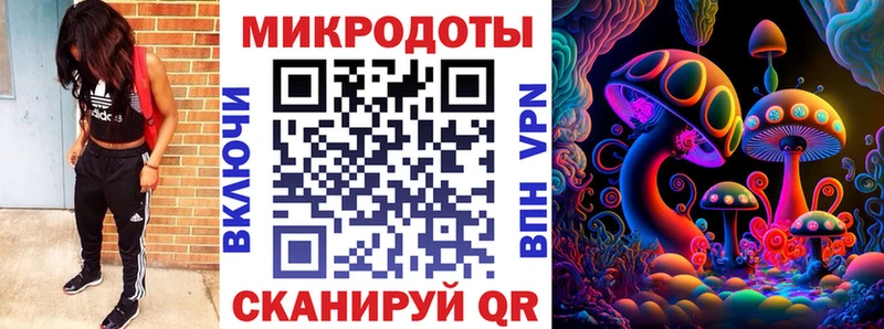 Псилоцибиновые грибы Psilocybe  МЕГА как войти  Зеленодольск 