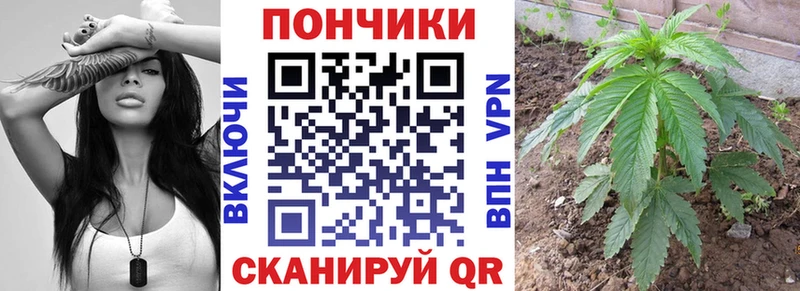 Каннабис MAZAR  где купить наркоту  Зеленодольск 